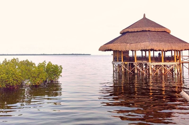 Panglao Mangrove and Sunset Half-Day Private Tour - Sunset, food credit, and the pool question
