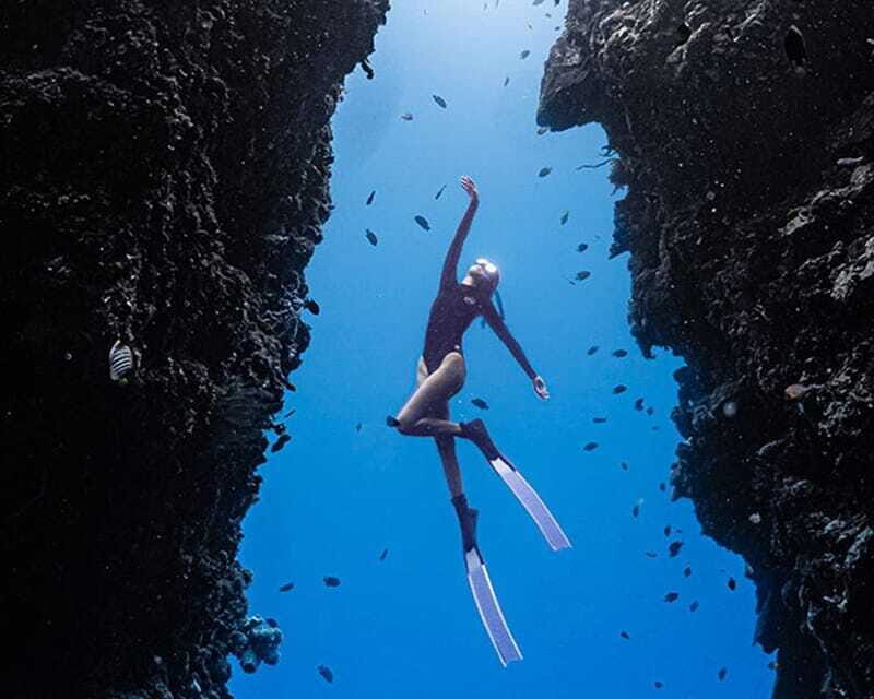 Panglao: Napaling Reef and Sardines Freediving Experience - The Sum Up