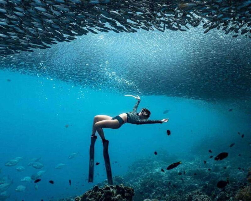 Panglao: Napaling Reef and Sardines Freediving Experience - Final Thoughts: A Worthwhile Underwater Adventure