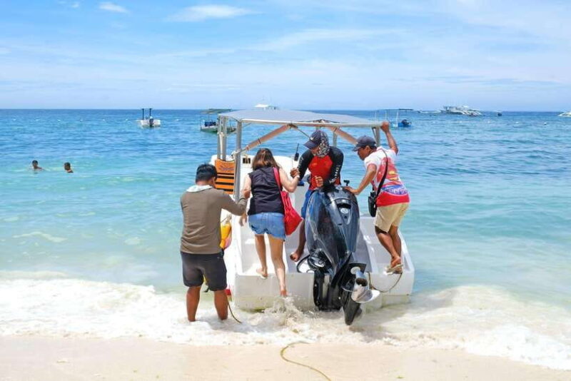 Panglao: Solo or Tandem Parasailing Experience near Alona - Good To Know