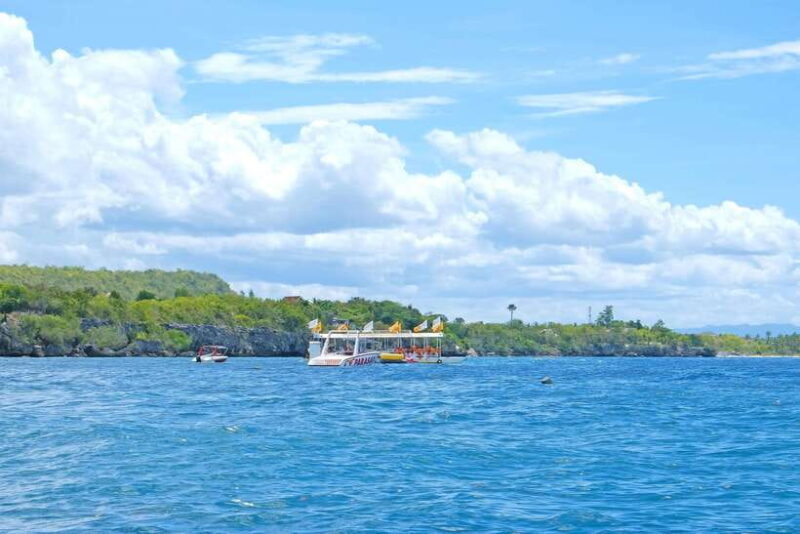 Panglao: Solo or Tandem Parasailing Experience near Alona - What to Expect from the Parasailing Adventure