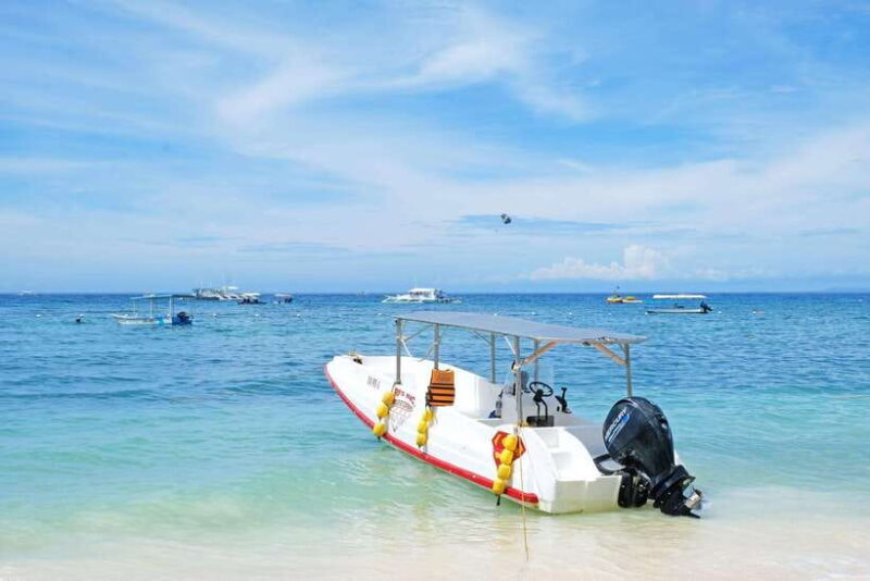 Panglao: Solo or Tandem Parasailing Experience near Alona - Practical Details and Logistics