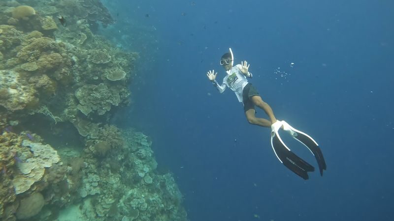 Panglao Virgin & Balicasag Islands Half-Day Snorkeling Tour - Should you book the Panglao half-day tour?