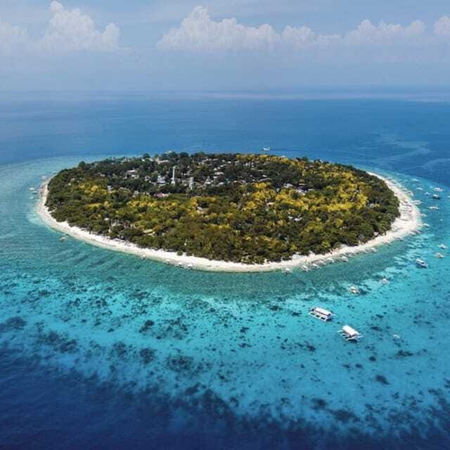 Panglao:Balicasag Island Tour with Turtle & Dolphin Watching - The Full Breakdown of the Tour Experience