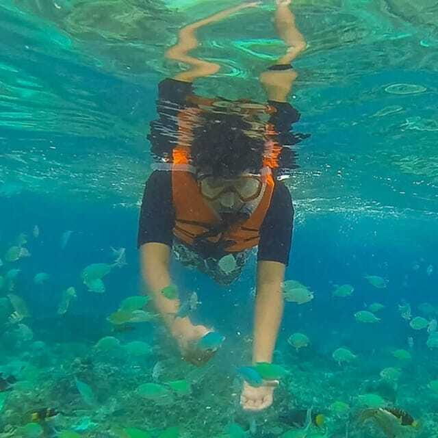 Panglao:Balicasag Island Tour with Turtle & Dolphin Watching - The Itinerary: What to Expect from Start to Finish