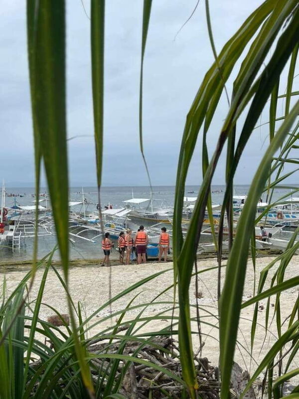 Panglao:Balicasag & Virgin Island PRIVATE with Lunch - Practical Details: What’s Included and What to Bring