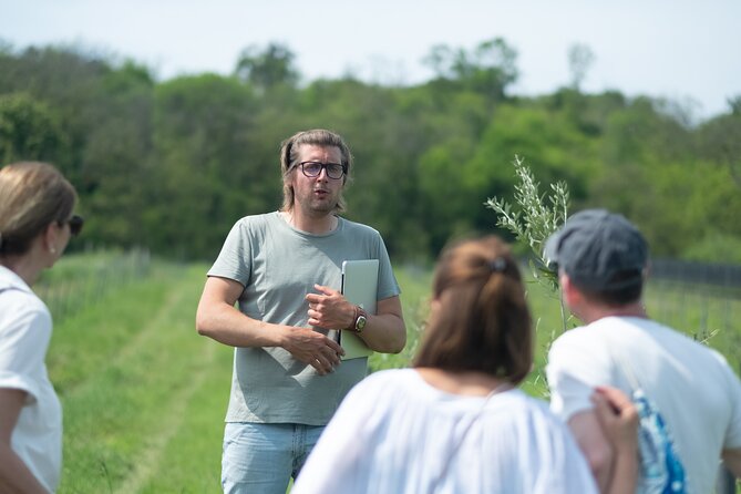 Pannolio Olive Experience in Eisenstadt - Accessibility and Transportation