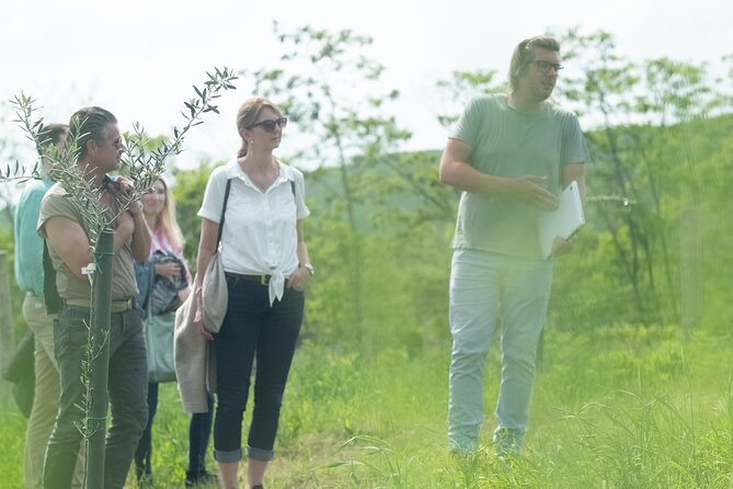 Pannolio Olive Experience in Eisenstadt - Reviews and Ratings