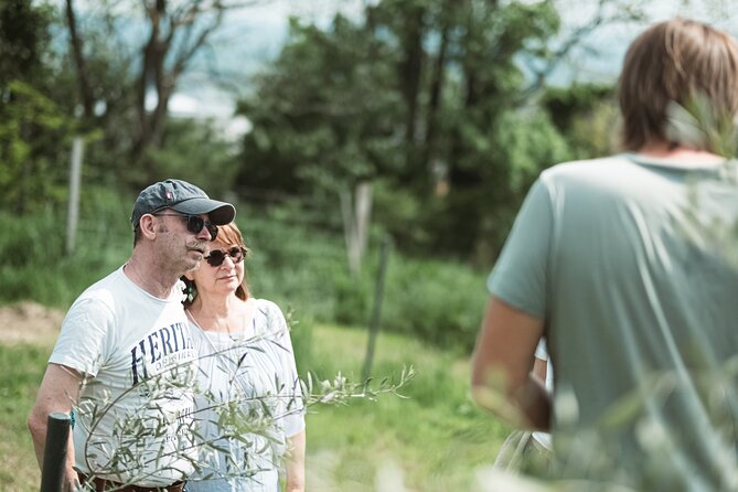 Pannolio Olive Experience in Eisenstadt - Contact and Support