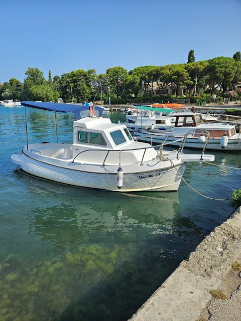 Panorama Boat Tour - Highlights of the Experience