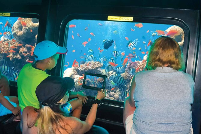 Panorama Semi Submarine Tour & Snorkeling Sea Trip- Hurghada - Additional Info