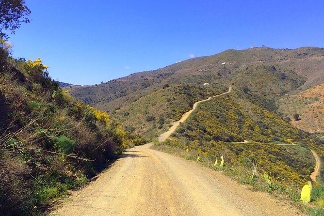 Panoramic Buggy Tour From Malaga - Reviews