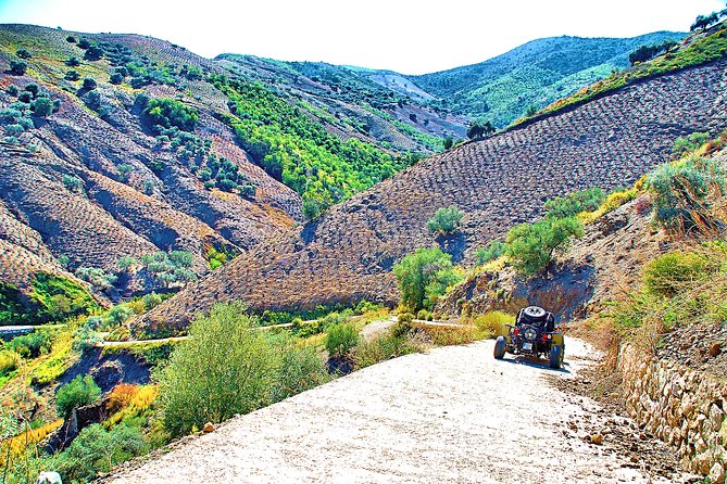 Panoramic Buggy Tour From Malaga - The Sum Up