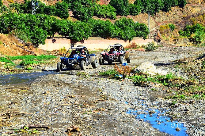 Panoramic Buggy Tour From Moclinejo/Malaga (Buggy Station) - The Sum Up