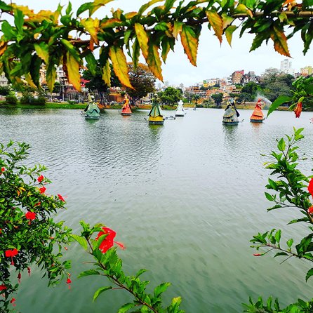 Panoramic City Tour - Reservation and Availability