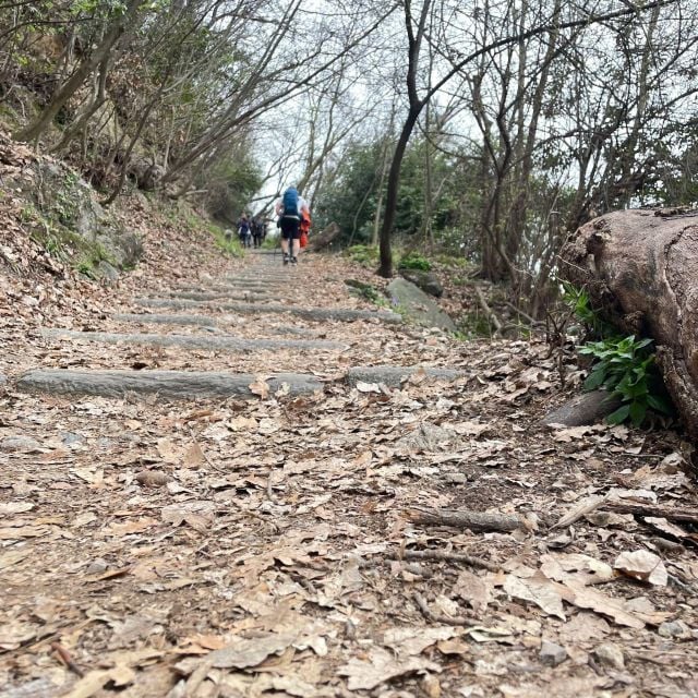 Panoramic Hike Como to Brunate: Lunch With Breathtaking View - Customer Reviews