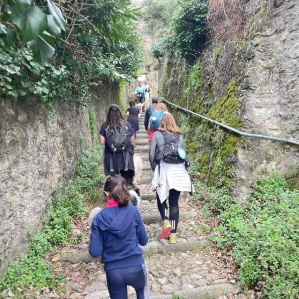 Panoramic Hike Como to Brunate: Lunch With Breathtaking View - The Sum Up