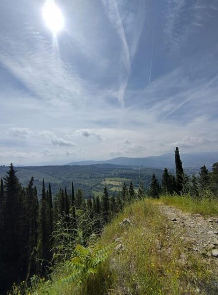 Panoramic Hiking in the Florentine Hills - Frequently Asked Questions