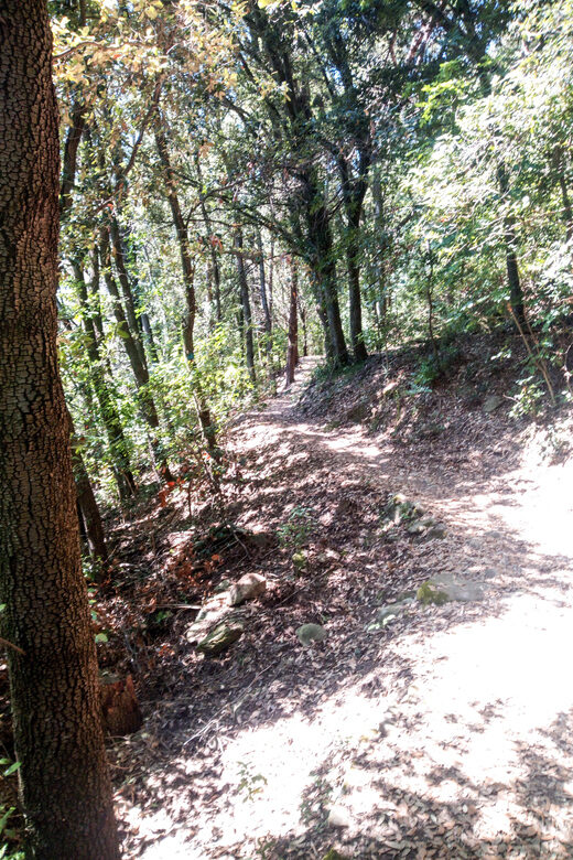 Panoramic hiking in the Florentine hills with Vincenzo - Final Thoughts