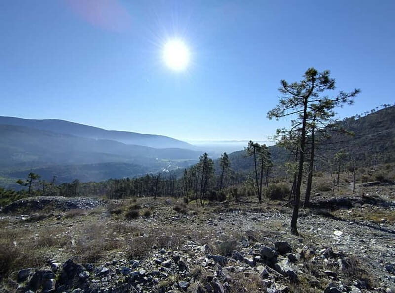 Panoramic hiking in the Florentine hills with Vincenzo - Frequently Asked Questions