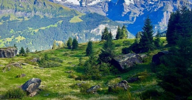 Panoramic Hiking Tour Above Lauterbrunnen Valley From Zurich - Inclusions