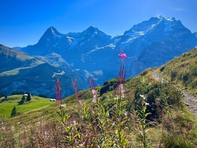 Panoramic Hiking Tour Above Lauterbrunnen Valley From Zurich - Self-guided Hike in Alps
