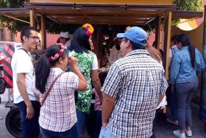 Panoramic Historic Tour - Practicalities & Experience Highlights