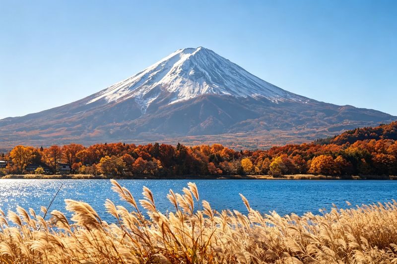 Panoramic Mt. Fuji Featured Experience Day Tour [Free Little Train Ticket] Little Train Experience + Kawaguchiko Ropeway/Cruise + Ladder Town + Nikawa Clock Shop + Internet Famous Convenience Store + Yamanakako Swan Feeding (Departing from Tokyo) - Two hours by Lake Kawaguchiko