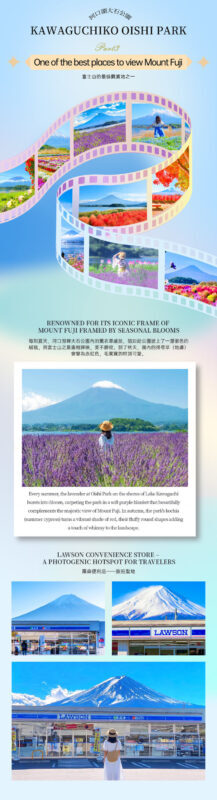 Panoramic Mt. Fuji Tour - Kachikachi Ropeway, Matcha Experience, Oshino Hakkai and Oishi Park Day Trip (Departure from Tokyo/Shinjuku) - Finding the seasonal colors at Oishi Park