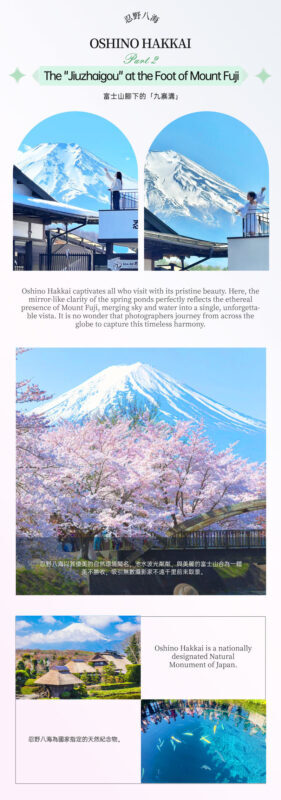 Panoramic Mt. Fuji Tour - Kachikachi Ropeway, Matcha Experience, Oshino Hakkai and Oishi Park Day Trip (Departure from Tokyo/Shinjuku) - The Lawson photo stop and its everyday Fuji view