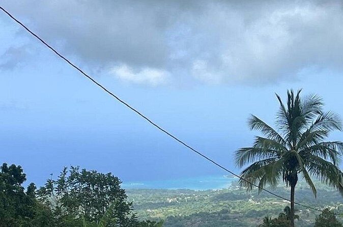 Panoramic Ocho Highlight and Museum from Cruise Port and Hotels - FAQ