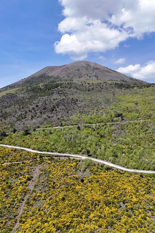 Panoramic path of Strada Matrone-Vesuvio - What to Expect from the Panoramic Path of Strada Matrone
