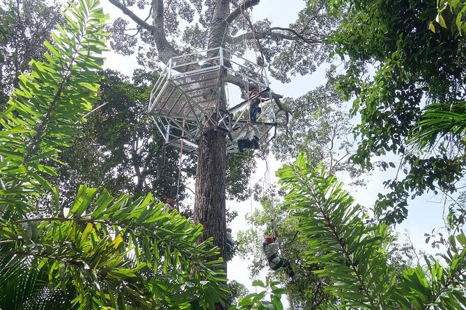 Panoramic Penang Hill & The Habitat Nature Discovery - Important Booking Details
