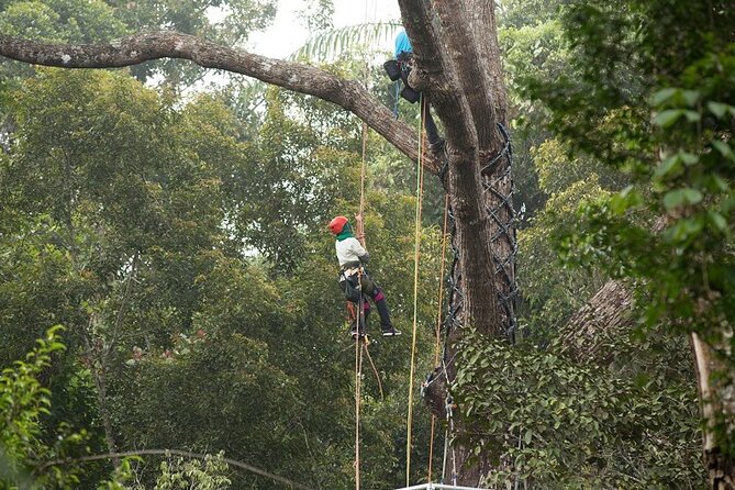 Panoramic Penang Hill & The Habitat Nature Discovery - Price and Reviews Overview