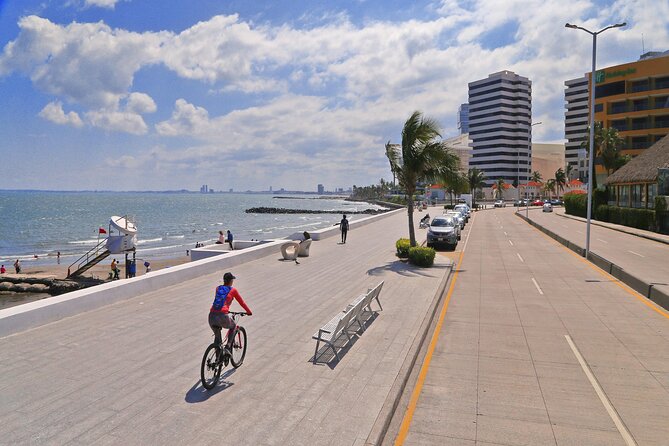 Panoramic Sightseeing Tour of Veracruz - Common Questions