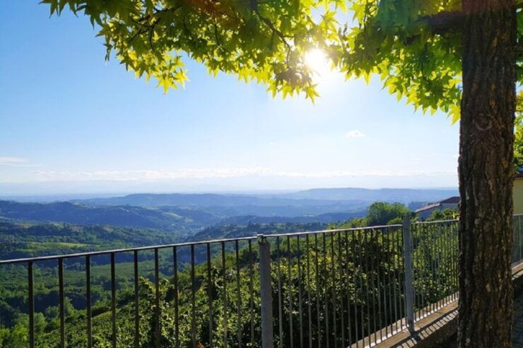 Panoramic Sightseeing Tour With Aperitivo - Tour Overview