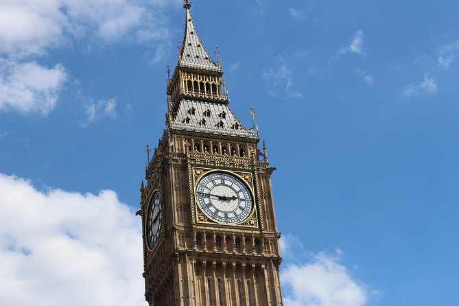 Panoramic Tour of London by Private Black Taxi - Tour Highlights