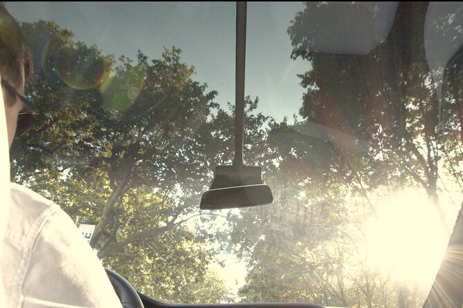 Panoramic Tour of Paris in Tesla (4h) - Inclusions and Services