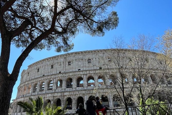 Panoramic Tour of Rome by Private Car of 2 Hours and 30 Minutes - The Sum Up