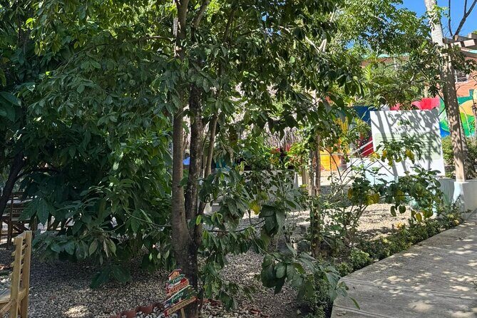 Panoramic Tour of the Reality of the Countryside and Village - FAQ