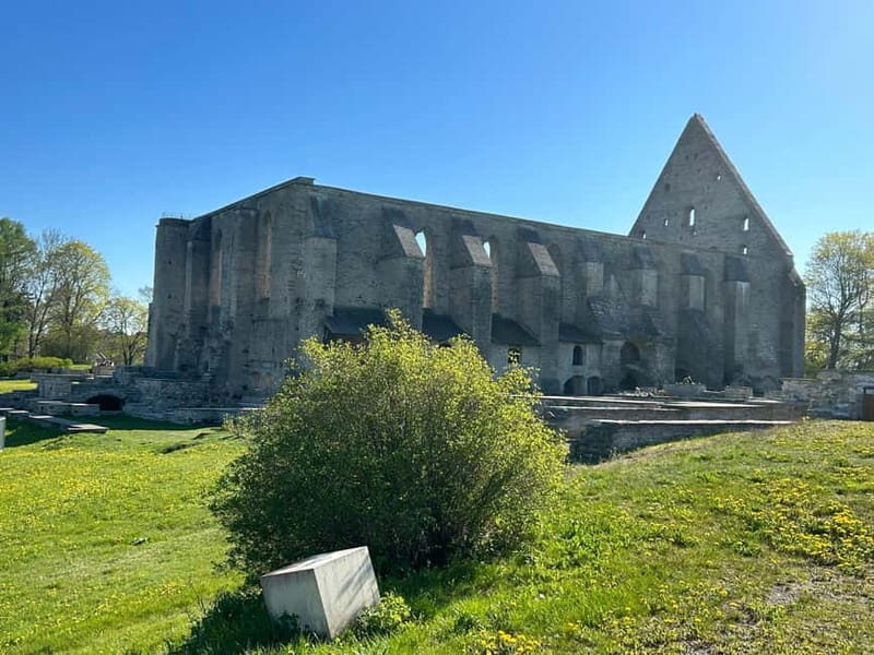 Panoramic Tour over Tallinn by vehicle - Practical Details and Tips