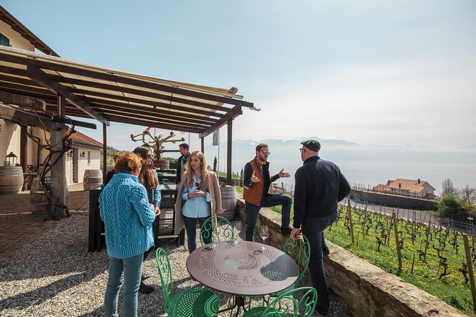 Panoramic Wine Tour From Lausanne - Breathtaking Panoramic Views