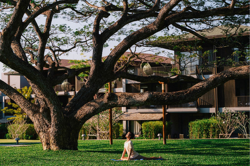 PANPURI WELLNESS Andaz Pattaya Jomtien Beach - Should you book PAÑPURI Wellness Harbor?