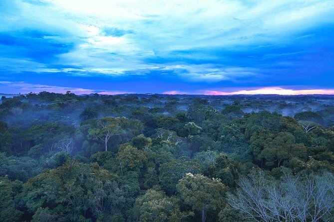 Pantanal & Amazon Holiday - Private Multi Day Tour - Local Cuisine Experience