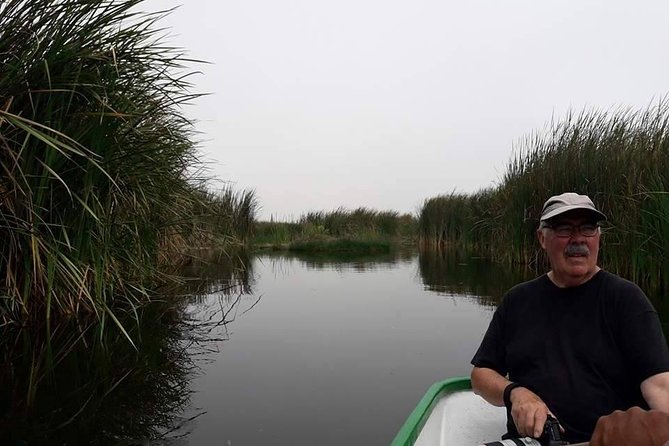 Pantanos De Villa Wildlife Refuge Tour in Lima - Wildlife Diversity