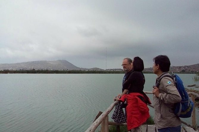 Pantanos De Villa Wildlife Refuge Tour in Lima - Pricing and Booking Information