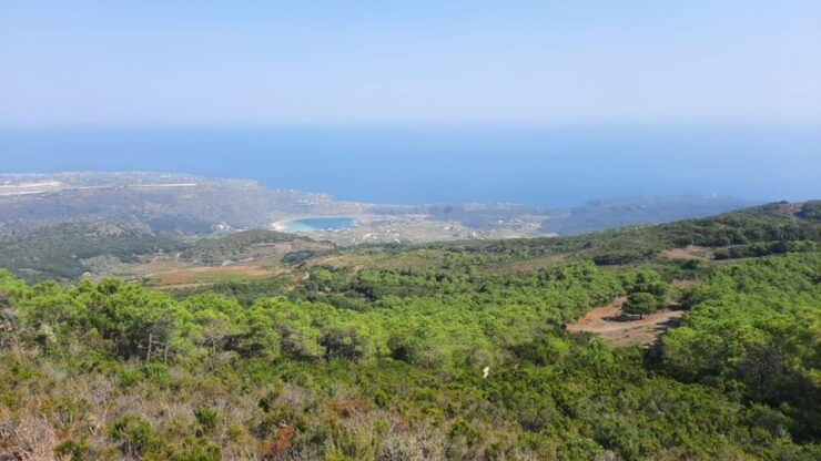 Pantelleria and Its Wines Tastings - Tour Highlights