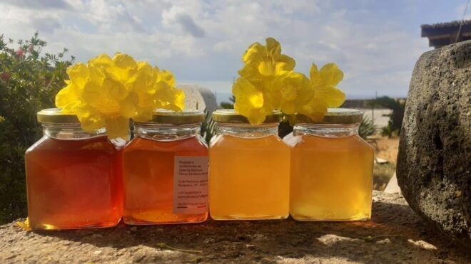 Pantelleria and Its Wines Tastings - Tour Itinerary