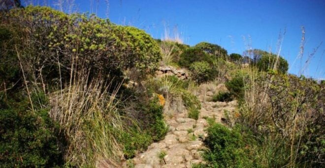Pantelleria Island: Pantelleria National Park Hiking Tour - Booking Information
