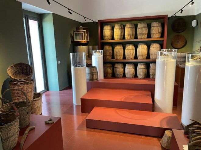 Pantelleria: Visit the Tastiest Museum Ever - Caper Museum - Itinerary Highlights